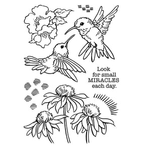 Stampendous Stamp - Hummingbird Day STP-193