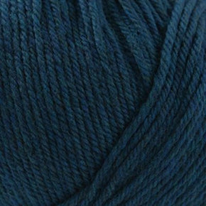 Cascade 220 Superwash - 856 Aporto