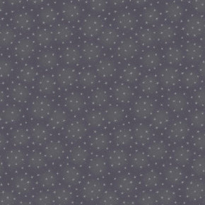 Starlet by Blank Quilting 6383-Grey