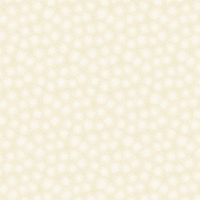 Starlet by Blank Quilting 6383-Ivory
