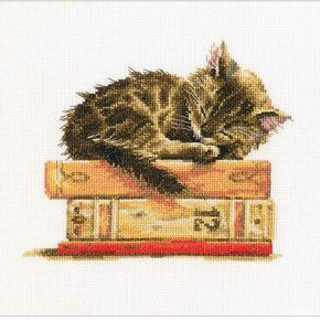 RTO Cross Stitch Kit - Cat's Dream M642