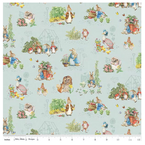 Peter Rabbit and Friends - RBDC15861 blue