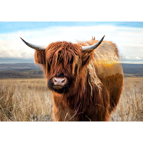 Call of the Wild by Hoffman Panel, Highland Cow 25422-39