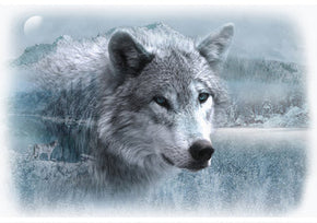 Call of the Wild Digital Print - Frost (wolf)