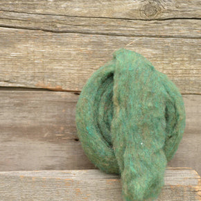 Roving from The General Bean - Dark Green