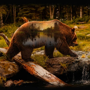 Call of The Wild by Hoffman Panel - Grizzly 25270-260