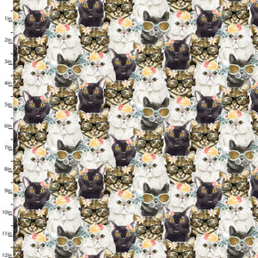 3 Wishes Fabric - Everyday is Caturday