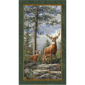 Deer Mountain panel