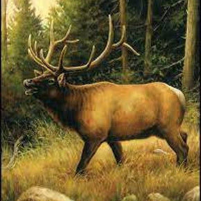 Penny Rose ~ Majestic Outdoors ~ 100% Cotton ~ Elk Panel ~ P5570