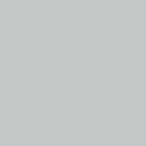 Avalana Jersey - Solid Grey 11