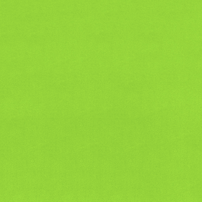 Shannon Extra Wide Solid Cuddle 3 Dark Lime 90inches wide
