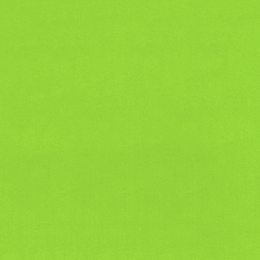 Shannon Fabrics Solid Cuddle 3 - Dark Lime