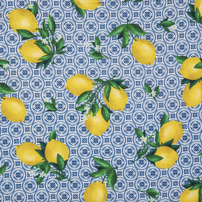 Lemon Fresh by Michael Miller Designs - 010756-11 Blue