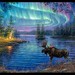 Northern Lights Moose Pond Panel 36x43 by Elizabeth's Studio